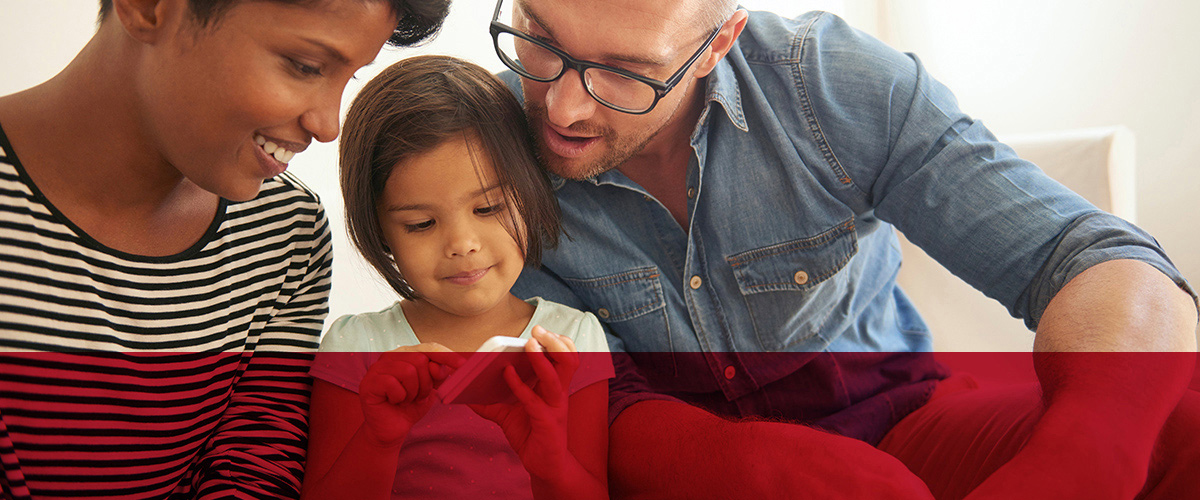 Hollister Incoroprated homepage header image