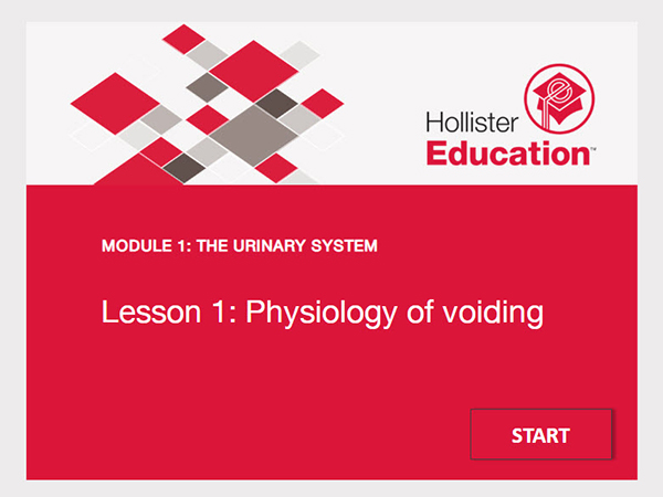 Urinary System Lesson