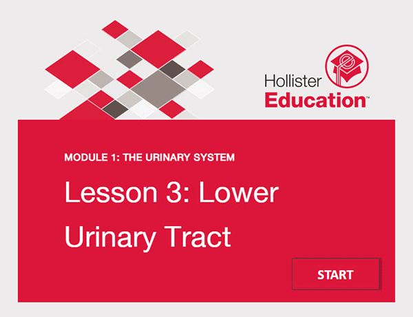 Urinary System Lesson